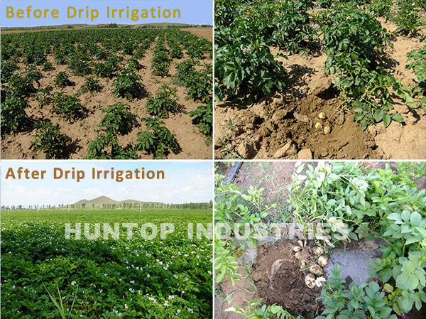 agriculture gravity drip irrigation system China manufacturer
